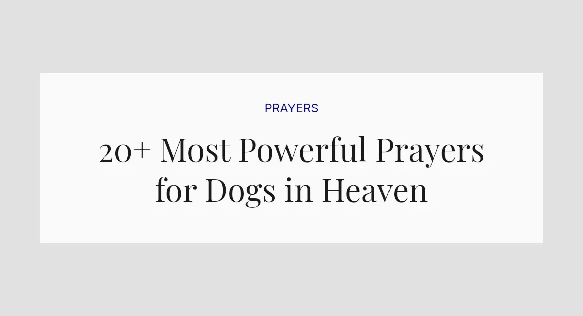20+ Most Powerful Prayers for Dogs in Heaven