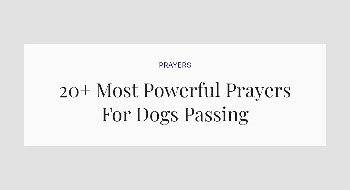 20+ Most Powerful Prayers For Dogs Passing