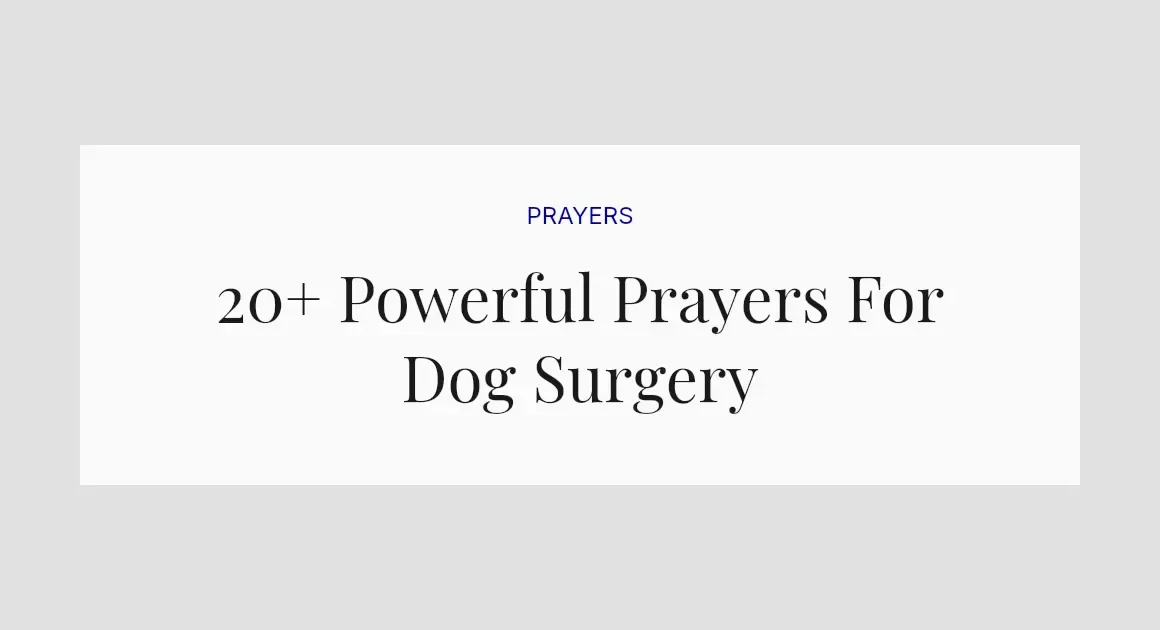 20+ Powerful Prayers For Dog Surgery